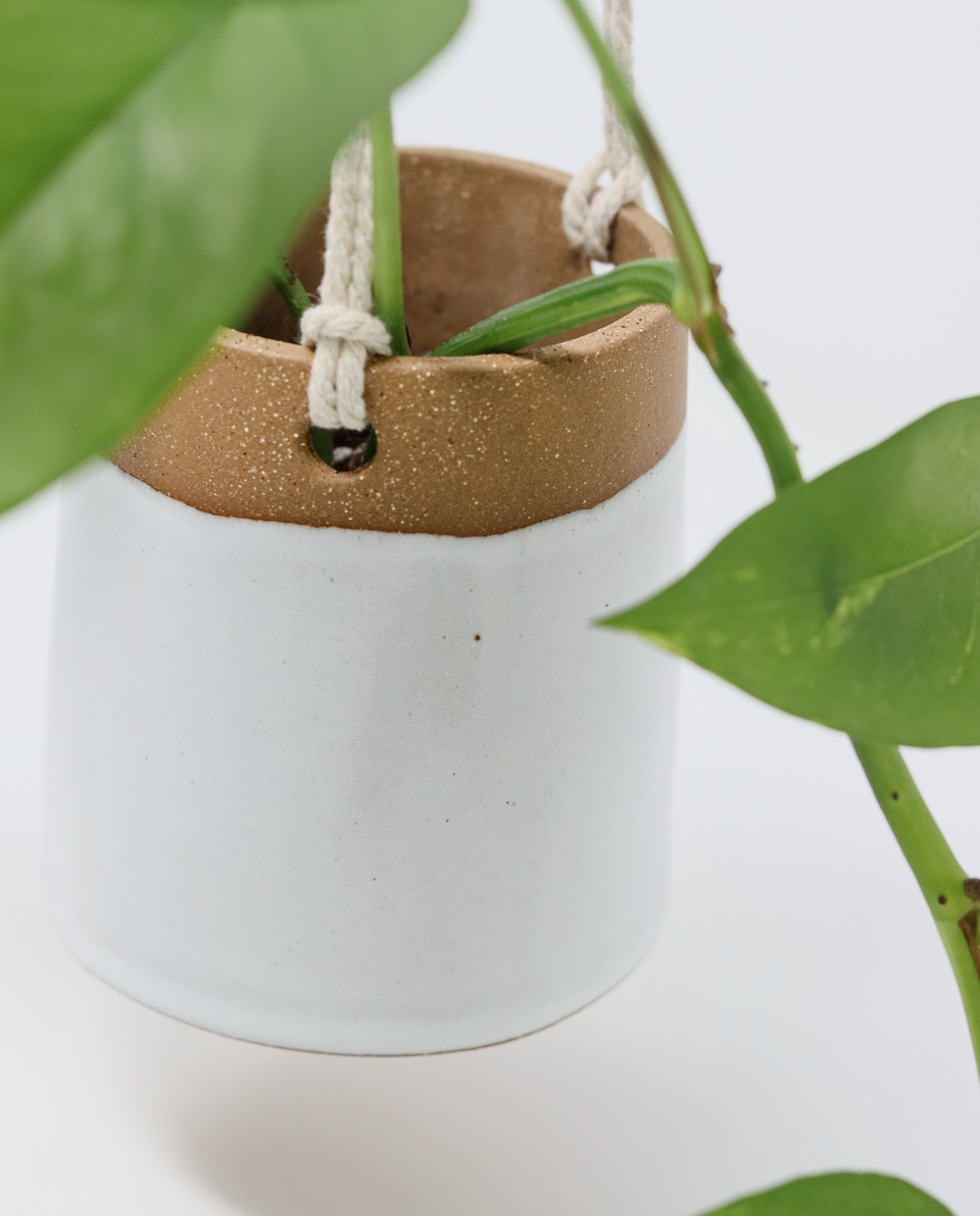 Hanging Planter - Classic White