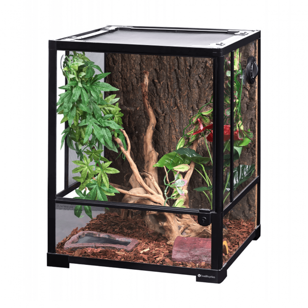 Swell Glass Terrarium - 45 x  45 x 60cm
